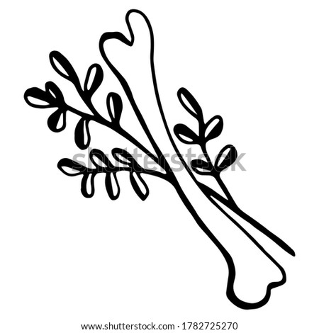 Vector isolated element, anatomy, bone with flower. Hand drawn doodle.