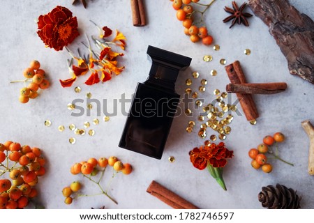 
black perfume bottle with cinnamon sticks, orange flowers and bark fragments on gray background Royalty-Free Stock Photo #1782746597