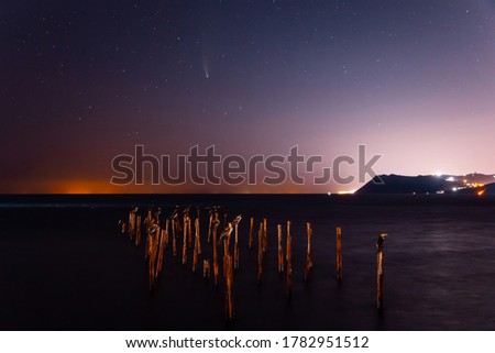 Comet C/2020 NEOWISE at night star sky with sea, birds and city lights