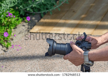 A mirrorless camera is used to take photos of a violet flower. Closeup picture, flowers, camera, and hands are visible in the picture.