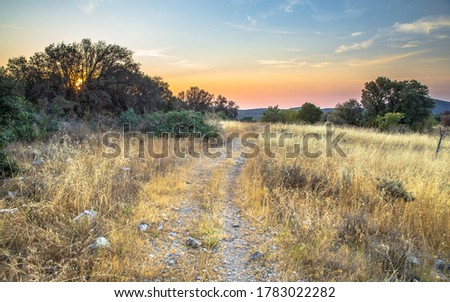 Summer landscape with rocky walking trail on hilltop in Cevennes National Park, Southern France Royalty-Free Stock Photo #1783022282