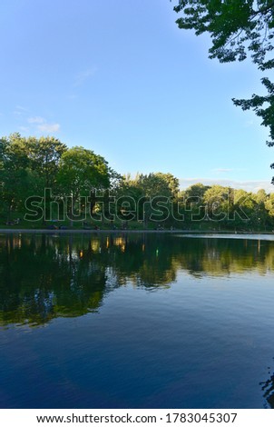 A vertical orientation of reflections of trees and clouds on lake water, La Fontaine Park, Montreal, QC, Canada.  Summer, Spring, outdoors, hope, inspiration, thankfulness concepts. 