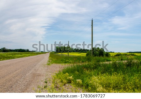 Country roads and vibrant yellow canola fields in rural Manitoba, Canada