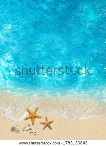 Summer beautiful sea background. Top view. Image for 3d floor. Collage. 