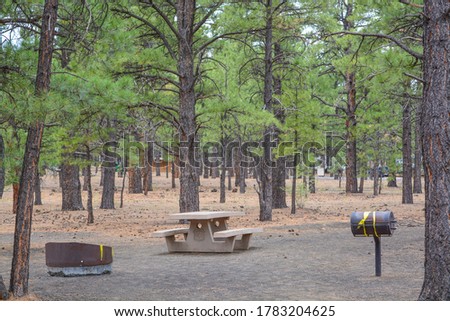 Bonito Campground recreation site, surrounded by Ponderosa Pine Trees, Flagstaff, Coconino County, Arizona