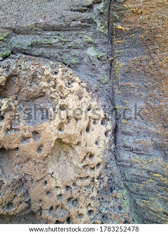 Beautiful wall texture patterned stones