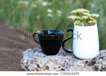 A black and white Cup stand on a large stone in nature. Cup with flowers.  Black and white.