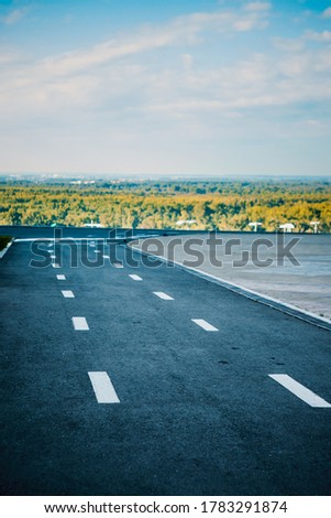 
road markings and view of the golden forest on a sunny day