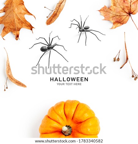 Creative layout with pumpkin, autumn leaves and spiders. Halloween composition on white background. Top view, flat lay. Design elements and holiday concept
