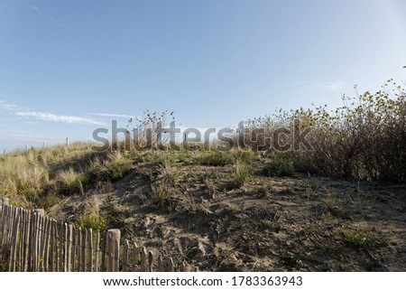 Clear blue sky over fenced-off grassy dune.