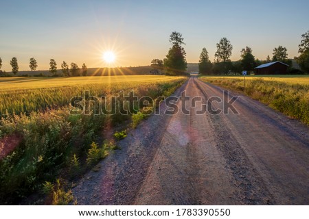 sunrise over fields at roadside. Beautiful summer morning over grovel road and growing fields in the countryside of Sweden Royalty-Free Stock Photo #1783390550