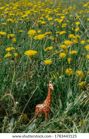 toy realistic giraffe surrounded by flowers