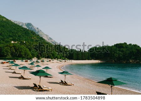 Luxurious wooden sun loungers and green beach umbrellas, on a sandy beach in Milocer Park, near Sveti Stefan Island, Montenegro.