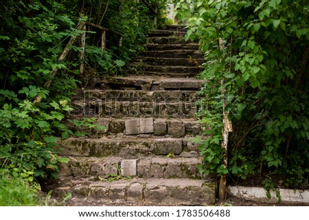 old stone staircase in the garden. Ancient architecture. Nature in summer.
