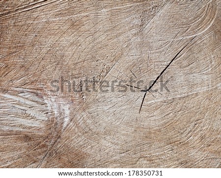 brown cracked tree stump texture