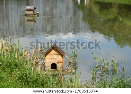Old duck house made of wood on a raft on a pond