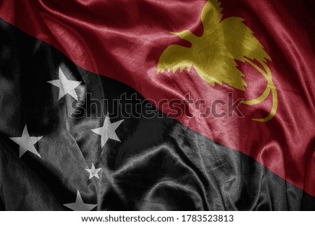 waving colorful shining big national flag of Papua New Guinea on a silky texture