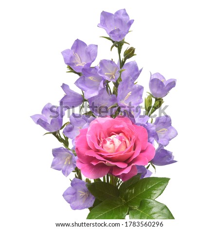 Flower arrangement delicate bouquet of bells and roses isolated on white background. Floral pattern, object. Flat lay, top view