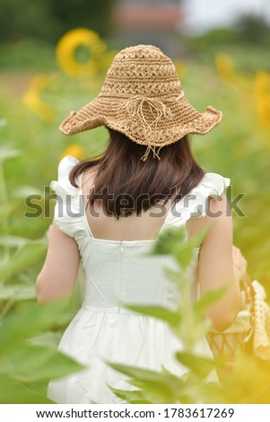 An Asian lady in the sunflower farm