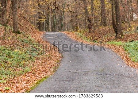 A deserted winding forest road goes deep into the forest.  Autumn forest trail is covered with yellow leaves, the road goes into the distance. Autumn forest landscape. Country road.