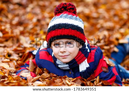 Portrait of happy cute little kid boy with autumn leaves background in colorful clothing. Funny child having fun in fall forest or park on cold day. With hat and scarf