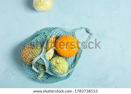 Fresh vegetables in eco-friendly mesh blue on a light blue concrete background, flat lay, horizontal orientation, copy space. Zero waste concept. Vegetarian food concept.