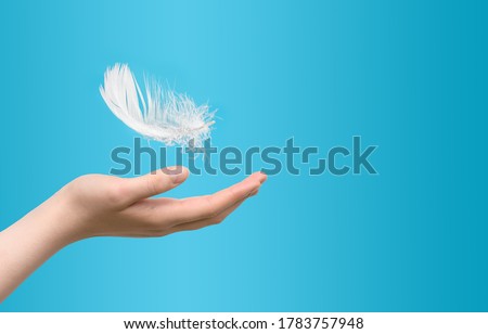 White feather falling to female hand on blue background. Concept of lightness easing and cleanliness. Royalty-Free Stock Photo #1783757948