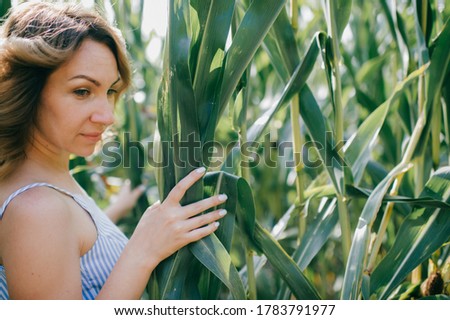 Picture of charming young caucasian woman with short dark hair in light blue summer dress goes for a walk to cornfield in the village.