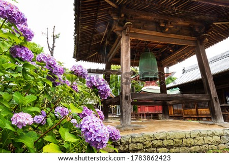 This is a hydrangea and the bell of a Japanese temple.