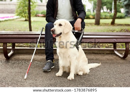 disabled person sit having rest with dog guide outdoors, blind male in safety with his best friend dog golden retriever