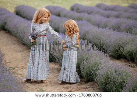 Charming caucasian girls walking in a lavender field during a sunset, summer