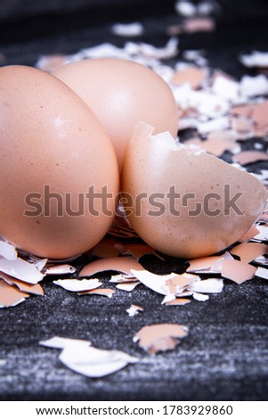 A few healthy eggs on crushed egg shells