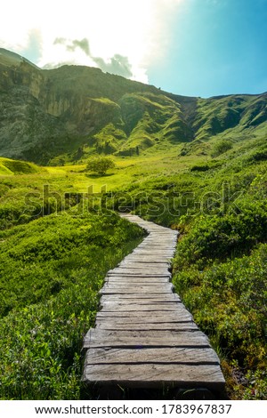 Pathway, walking path, mountain bike trail in Seiser Alm, Alpe di Siusi, Val Gardena, Italy  Royalty-Free Stock Photo #1783967837