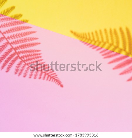 Tropical shadows of two fern leaves branches over pink and yellow background. Summer theme concept 