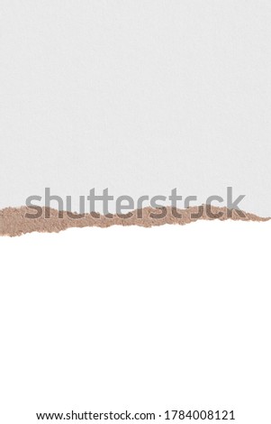 Ripped paper. Element for design on white background 