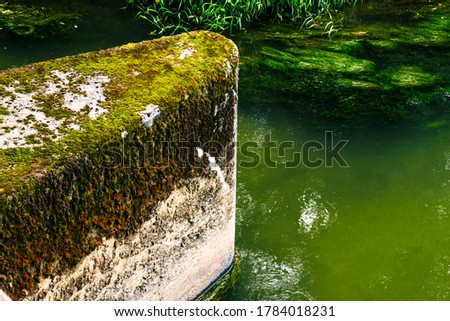 a concrete support of a bridge over the river Dijle in Leuven. The support is covered in moss.