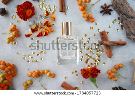    
glass perfume bottle with cinnamon sticks, orange flowers and bark fragments on gray background.Flower woody fragrance concept                             Royalty-Free Stock Photo #1784057723
