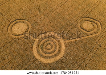 Fake UFO circles on grain crop yellow field, aerial view from drone. Royalty-Free Stock Photo #1784081951