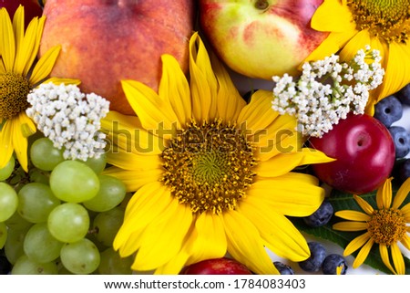 
Autumn background from flowers and fruits. View from above. Sunflowers and peaches, grapes, berries. Autumn, Sunflowers and fruits