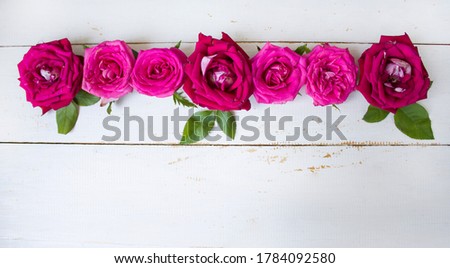 Old wood texture background surface. 
Red roses on a white wooden background. View from above. Banner. background or texture. copyspace.  