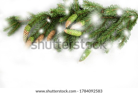 Wood texture table surface top view. Spruce branches with cones on a white wooden snowy background. Christmas background. Winter texture. Banner. copyspace. Christmas