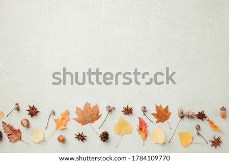 Autumn background, border made of dried yellow leaves and acorns with copy space. Seasonal composition, fall, thanksgiving day concept. Flat lay, top view