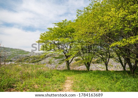 Early summer blue sky and green grassland and plateau with limestone stones