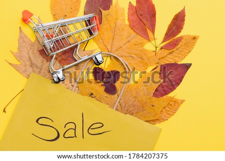 Autumn shopping with discounts. Autumn sales. Crafting beige paper shopping bag, from which look out autumn yellow leaves.