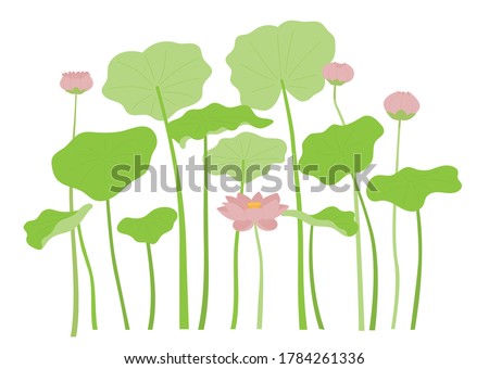 Lotus flower and lotus leaf. flat design style minimal vector illustration.