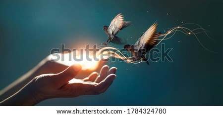 Power of hope and faith, Abstract, Woman praying and free bird enjoying nature on magical background, Religion concept.