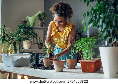 Young woman planting plants. Young florist she is planting plants in the pots in the room.