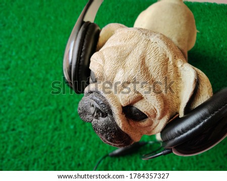 Portrait of Pug dog with black color headphone. Dog listening to music. Isolated on green background. 