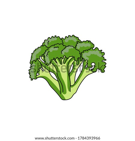 Green broccoli vegetable, hand draw vector illustration for design and creativity