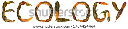 'Ecology' banner with unique nature themed font made with real leaves. Extendable white background
